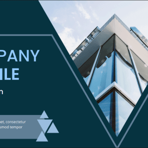 Company Profile creation